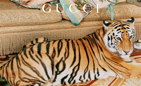 Gucci tigers collection